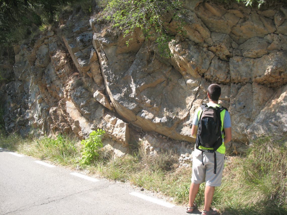 Folded Devonian carbonates