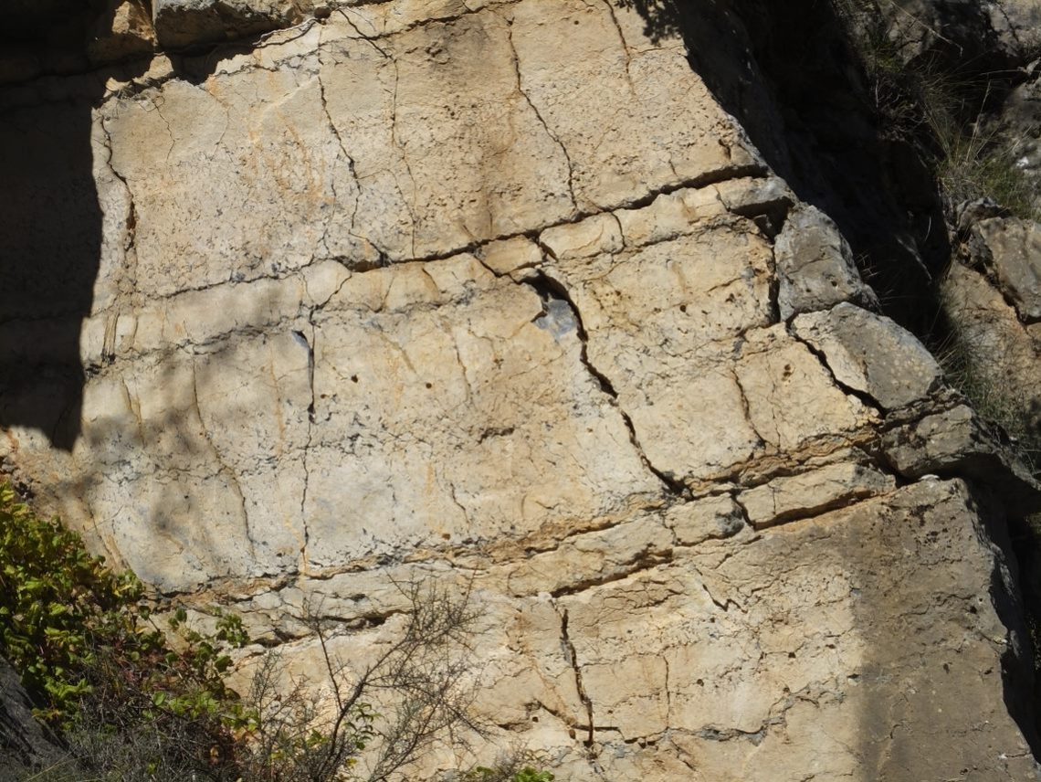 Devonian carbonates with matrix porosity