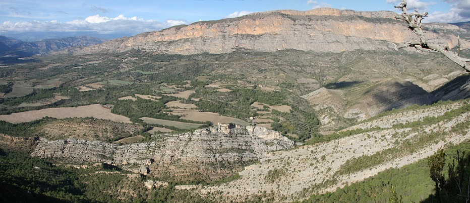 Shelf-margin reefal carbonates