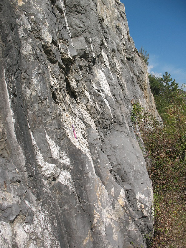 Sigmoidal tension gashes