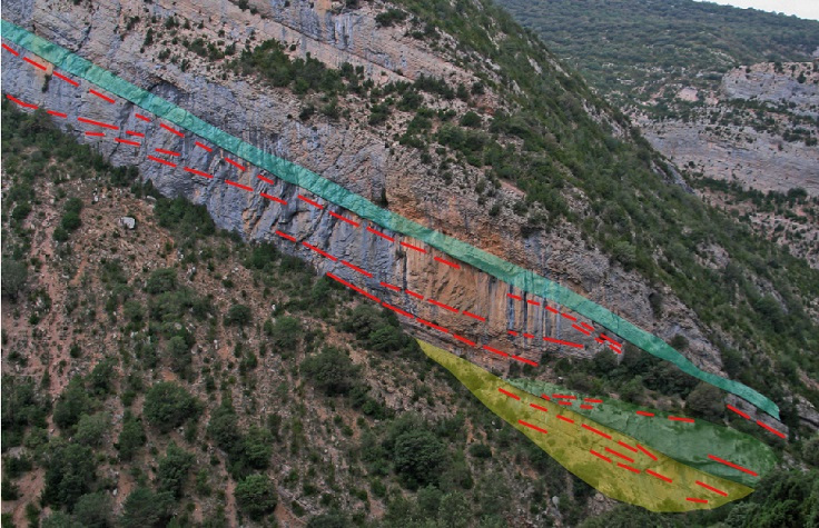 Large-scale shoals