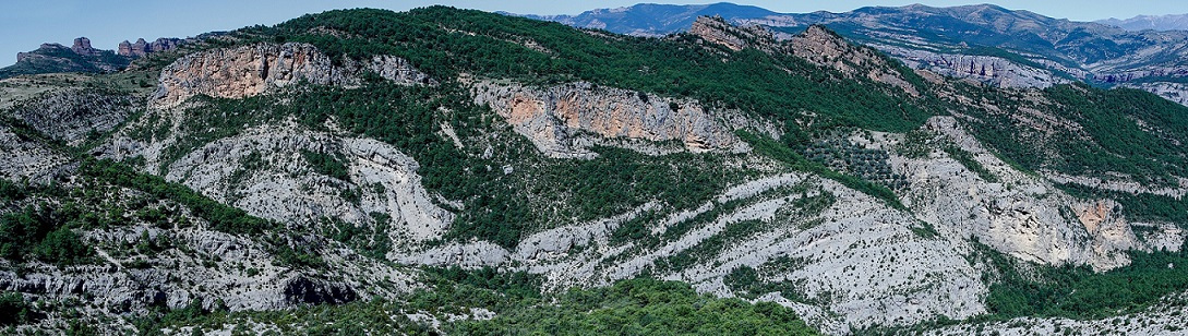 Fractured coral-rudist mounds