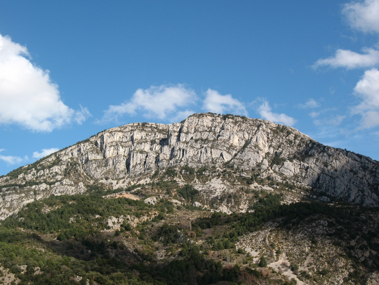 Alinyà anticline